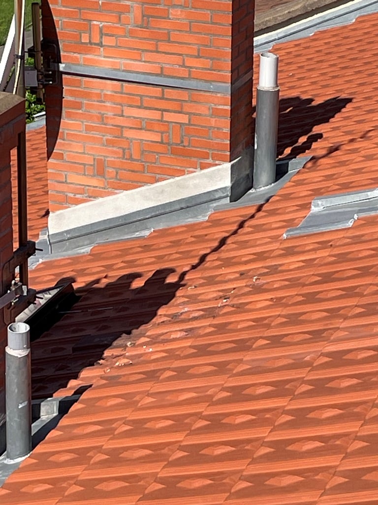 abergement cheminée lyon couvreur naveri